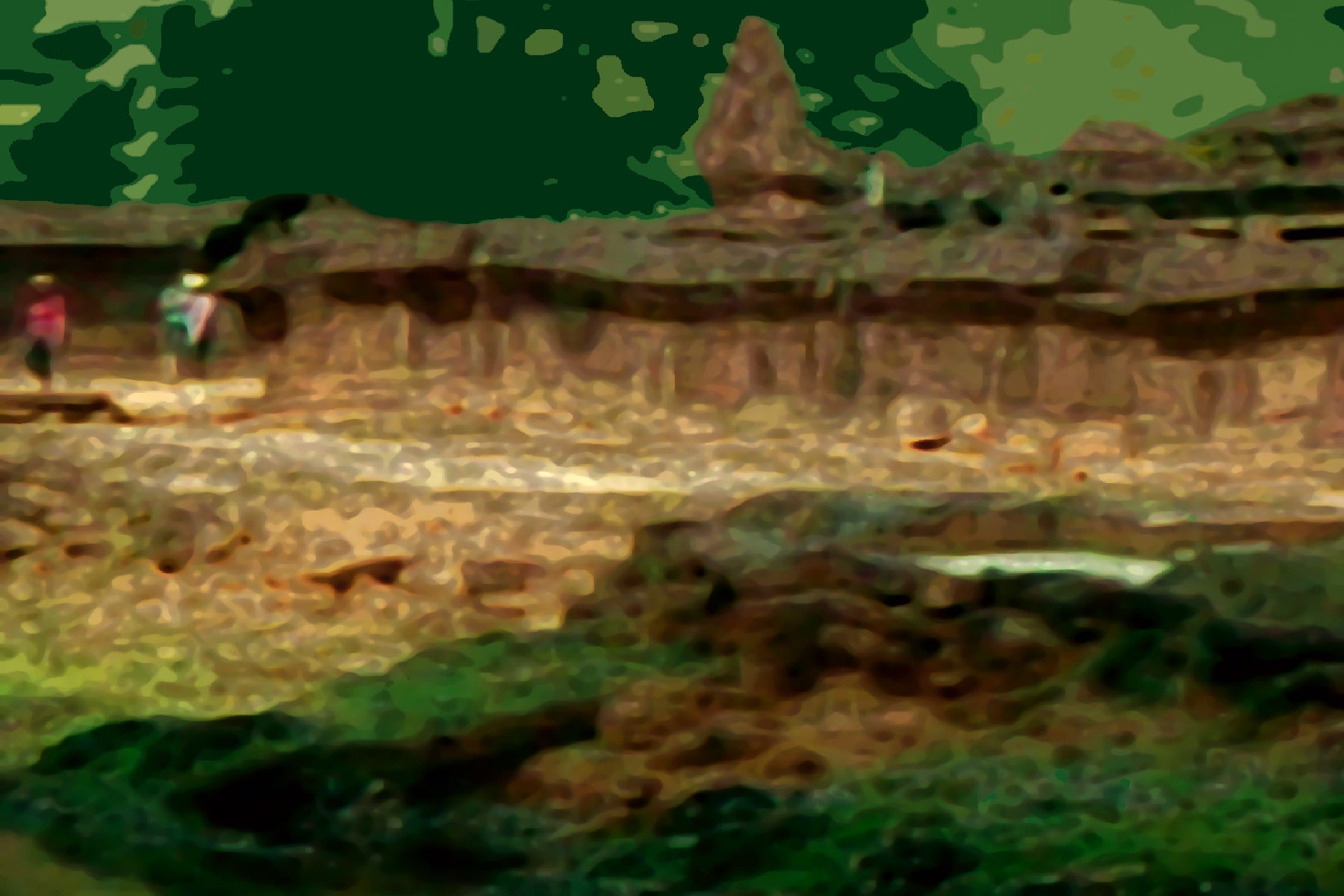 e3d80d15-c686-4229-9e96-b999ba8da326