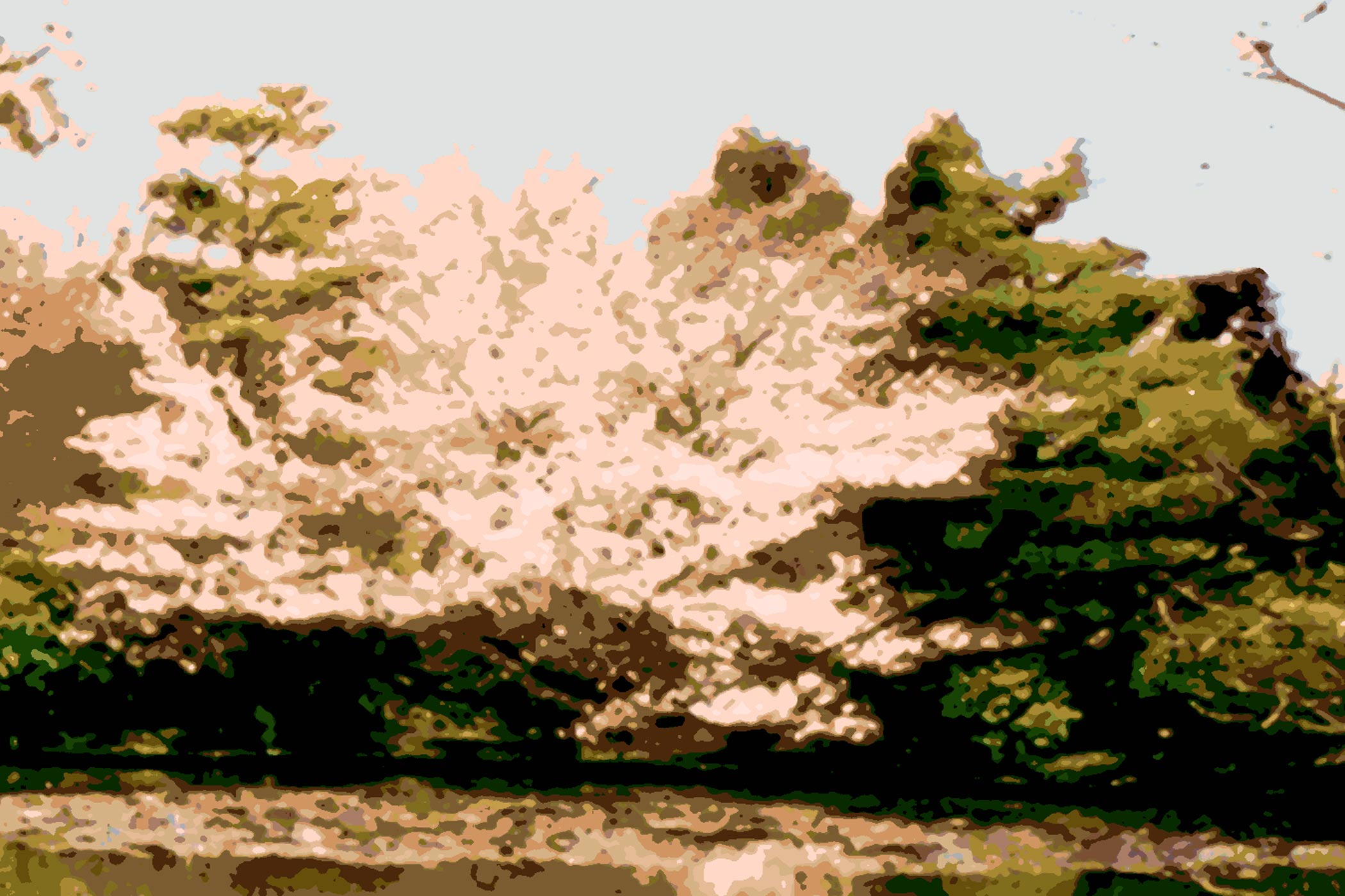 f0d65ea2-b3fc-462e-b4c8-175ea4ee87c9